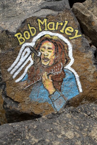 Bob Marley illustrated portrait